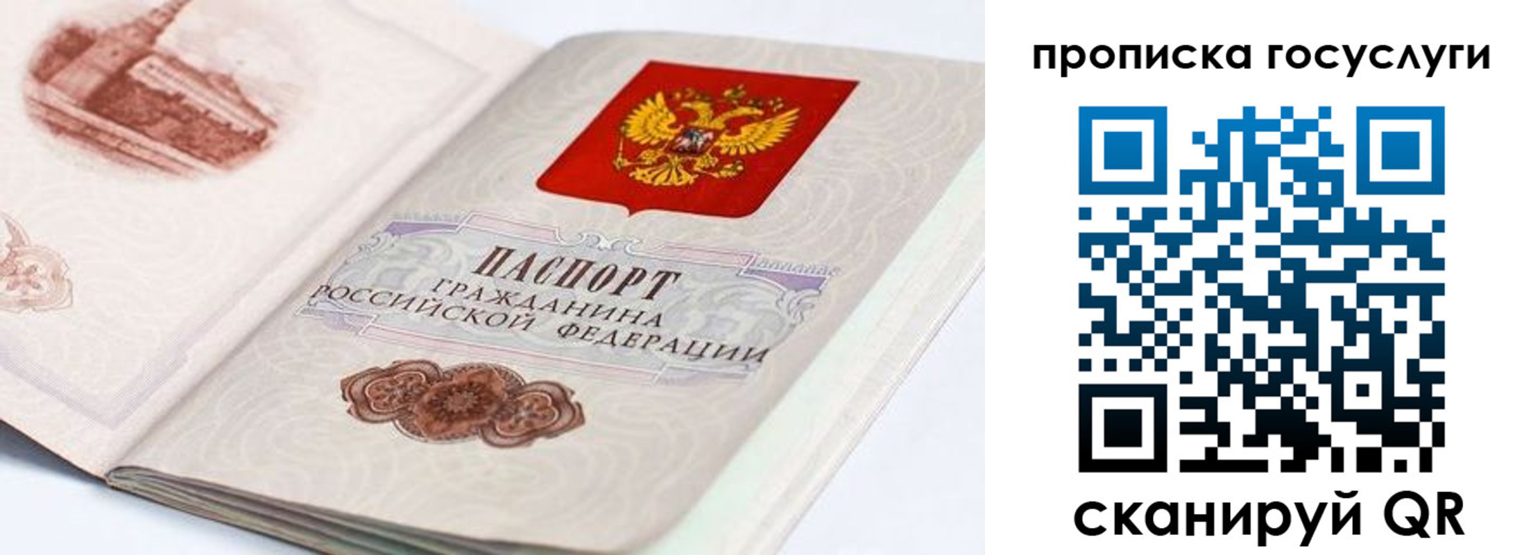 прописка гарантия в Онеге